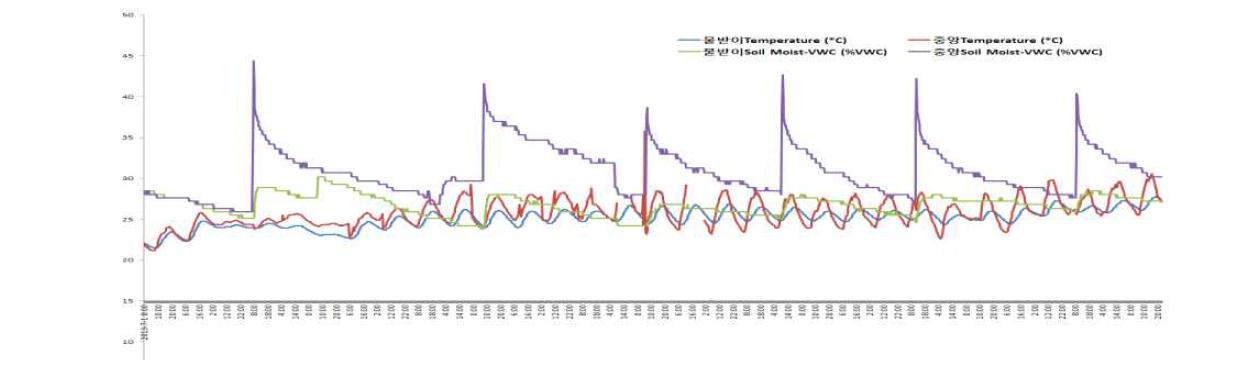 7월의 토양 온․습도 비교.