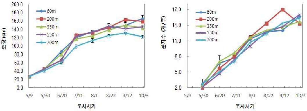 해발고도별 기온편차에 따른 고추의 초장 및 분지수 변화