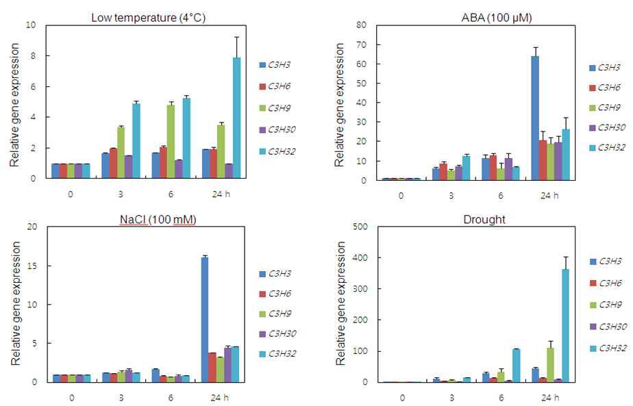Real-time (q)RT-PCR 분석을 이용한 콩 C3H ZF 유전자 발현 분석. 4주된 콩 에 저온(4°C), ABA(100 μM), NaCl(100 mM), 가뭄(Drought) 스트레스를 24시간까지 처 리하여 RNA를 분리하여, cDNA 합성한 후 유전자 특이적 프라이머를 이용하여 real-time RT-PCR을 수행한 결과.
