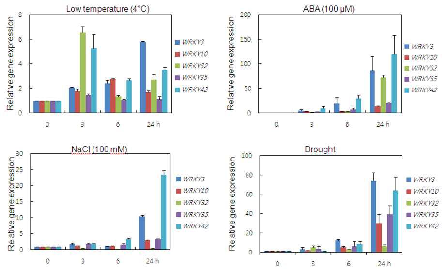 Real-time (q)RT-PCR 분석을 이용한 콩 WRKY TF 유전자 발현 분석. 4주된 콩에 저온(4°C), ABA(100 μM), NaCl(100 mM), 가뭄(Drought) 스트레스를 24시간까지 처리하여 RNA를 분리하여, cDNA 합성한 후 유전자 특이적 프라이머를 이용하여 real-time RT-PCR을 수행한 결과.