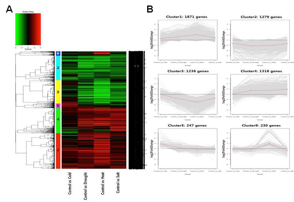 Clustering 분석 결과의 Heatmap & Line plot. (A) Heatmap은 왼쪽부터 Control_vs_Cold, Control_vs_Drought, Control_vs_Heat, Control_vs_Salt 데이터 표 현. (B) Line Plot은 heatmap에 표현된 cluster를 패턴으로 표현.