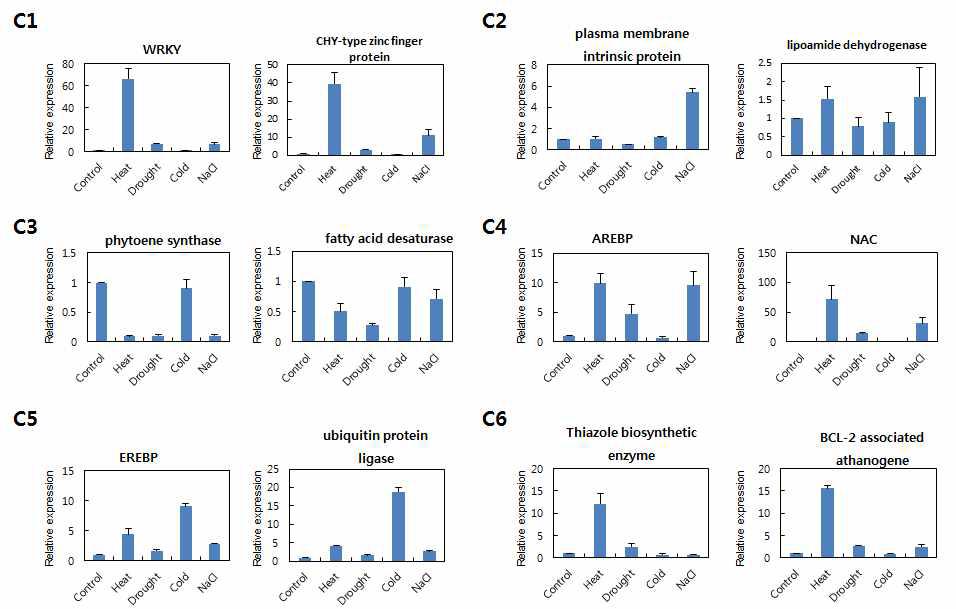 Real-time (q)RT-PCR 분석을 이용한 6개 클러스터에 속한 콩 유전자 발현 분 석. 4주된 콩에 저온(4°C), 고온(45°C), NaCl(100 mM), 가뭄(Drought) 스트레스를 3시간 처리하여 RNA를 분리하여, cDNA 합성한 후 유전자 특이적 프라이머를 이용하여 real-time RT-PCR을 수행한 결과.