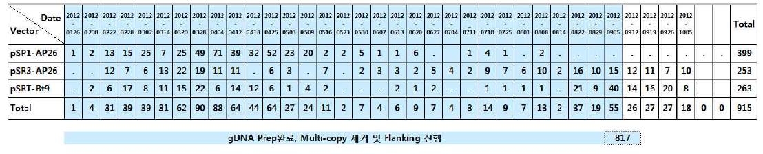 T0 형질전환체 개체수