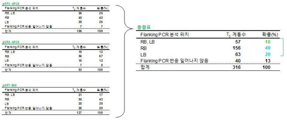 Flanking PCR 효율