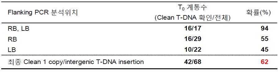 Clean T-DNA 확인된 T₀ 계통수