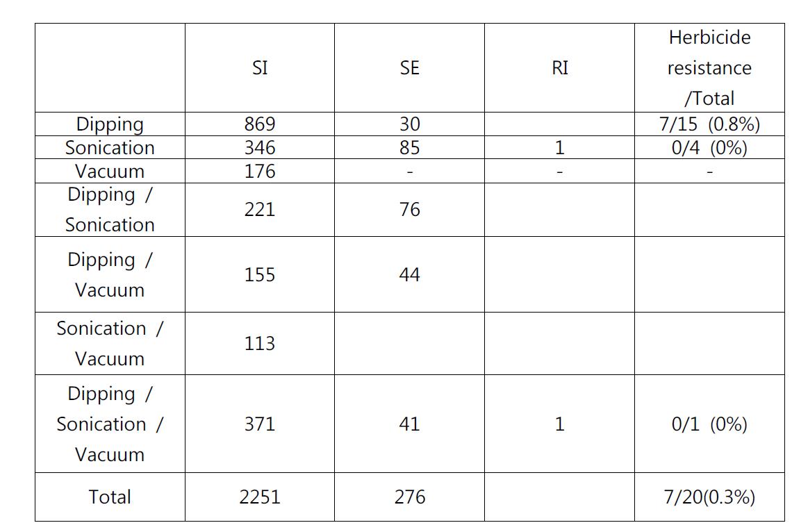 pC-KLSL 벡터를 이용한 형질전환 수행한 개체수와 형질전환 효율