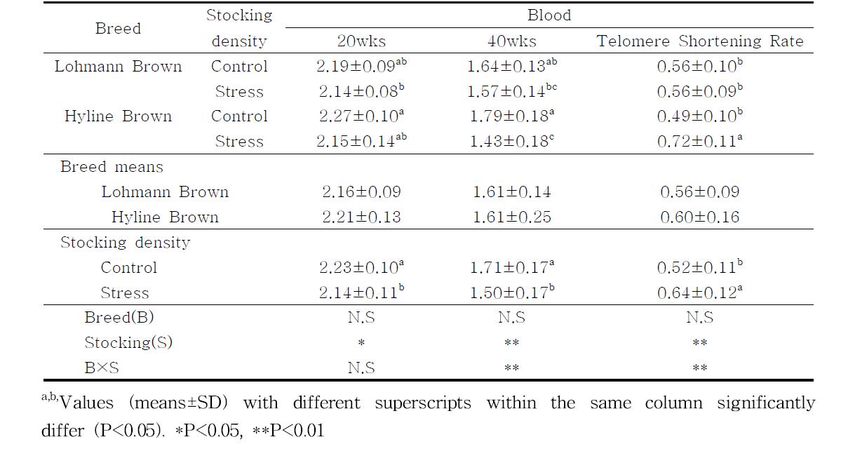 Analysis of variances for the factors affecting to the relative amount of telomeric DNA of chicken lymphocytes in Lohmann Brown and Hyline Brown with different stocking density by Q-FISH analysis