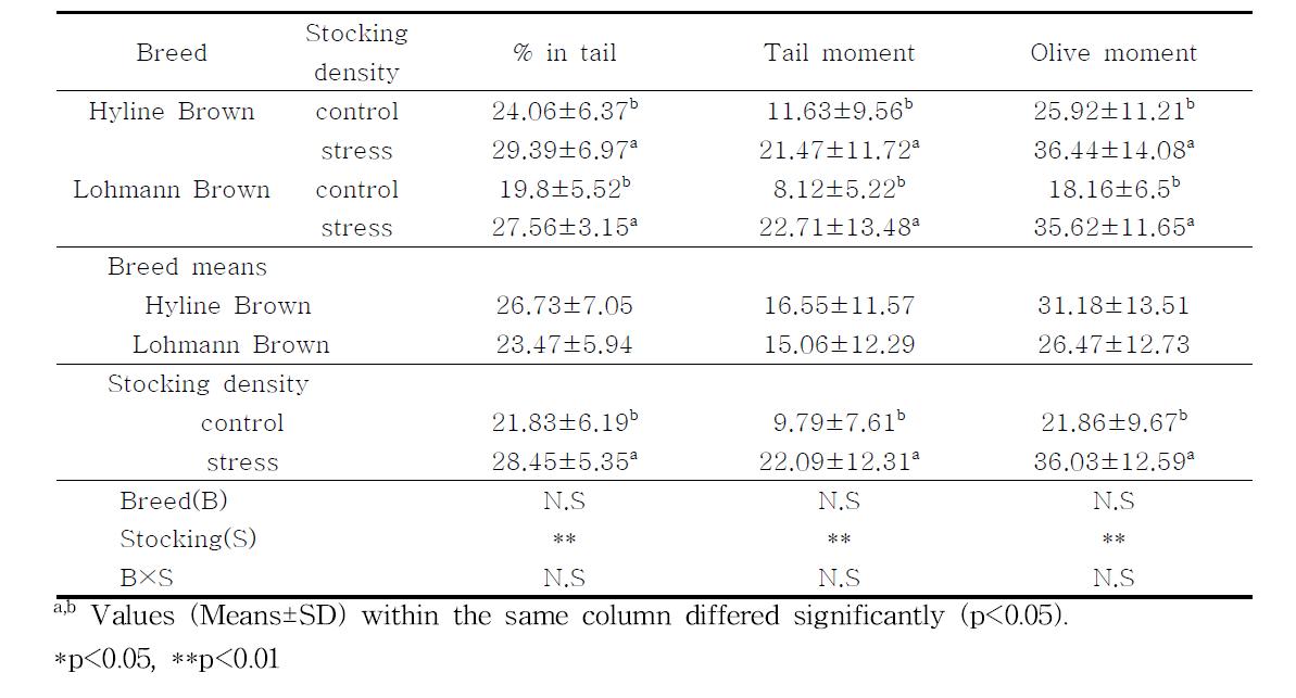 Analysis of variances for the factors affecting to the DNA fragmentation of chicken blood cells by the Comet-assay in Lohmann Brown and Hyline Brown with different stocking density