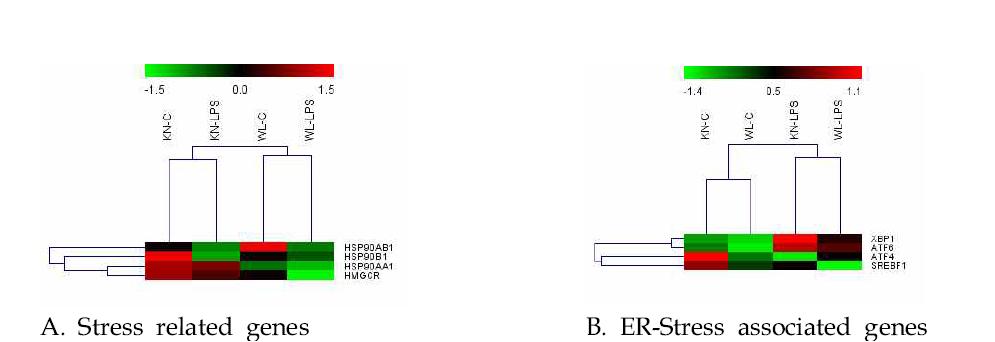 Heatmaps generated from mRNA microarray in the liver of Korean native chicken(KN) and White Leghorn(WL) challenged to LPS.