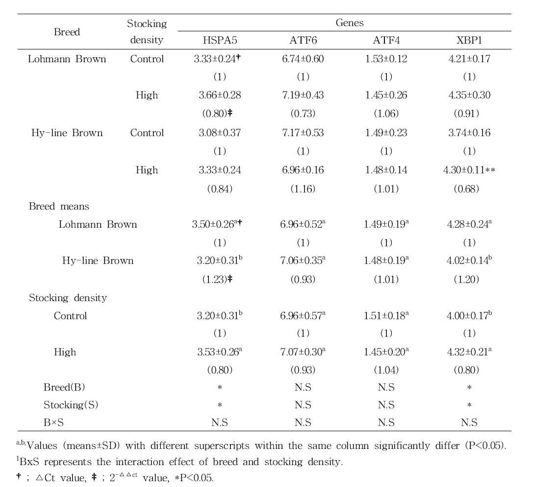 Analysis of variances for the factors affecting to the mRNA expression levels of ER stress-marker genes in muscle using qRT-PCR in Lohmann Brown and Hy-line Brown