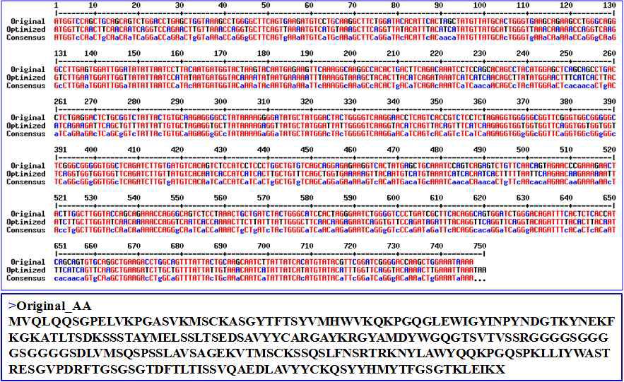 국화의 코돈에 최적화시킨 dsRNA 가수분해 촉매 재조합 항체의 유전자 염기서열 비교.