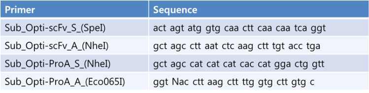 Sub-cloning용 primer set