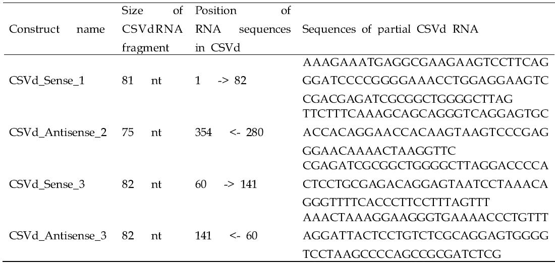 Information of CSVd RNA sequences to generate sense and antisense RNA constructs.