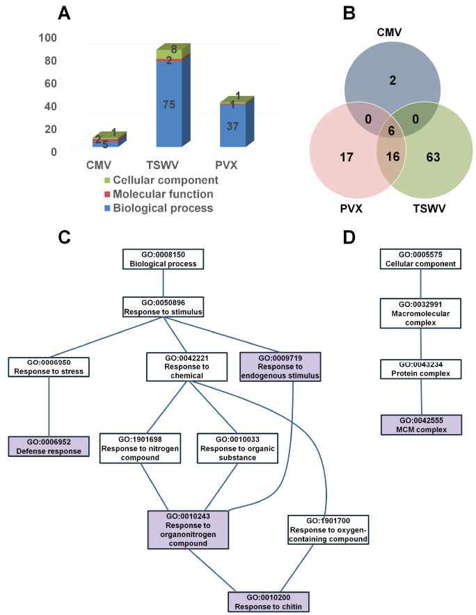 Comparison of identified enriched GO terms from three different gene sets