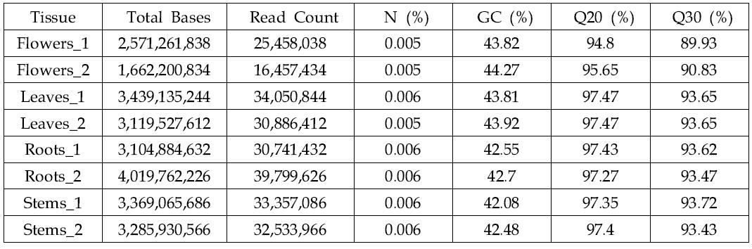 HiSeq2000을 이용하여 국화 신마 꽃, 잎, 뿌리, 줄기 등 4개의 라이브러리로부터 다음과 같은 NGS sequencing결과를 얻었다.