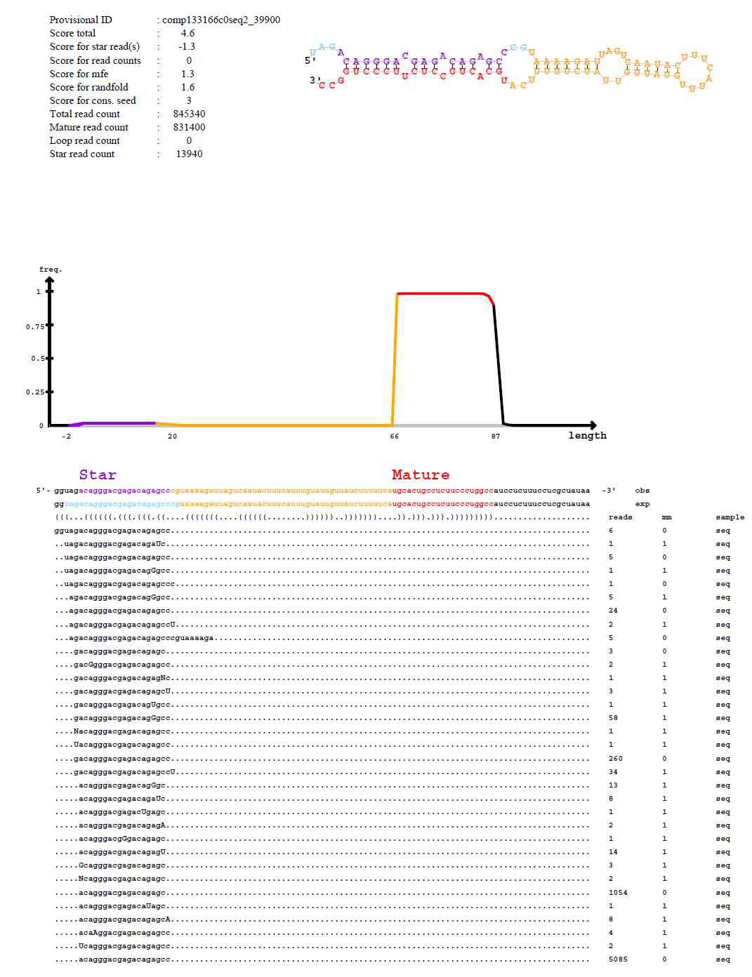 동정된 miRNA의 secondary RNA구조, mature sequence 및 mature RNA에 aligned된 small RNA sequencing 염기서열