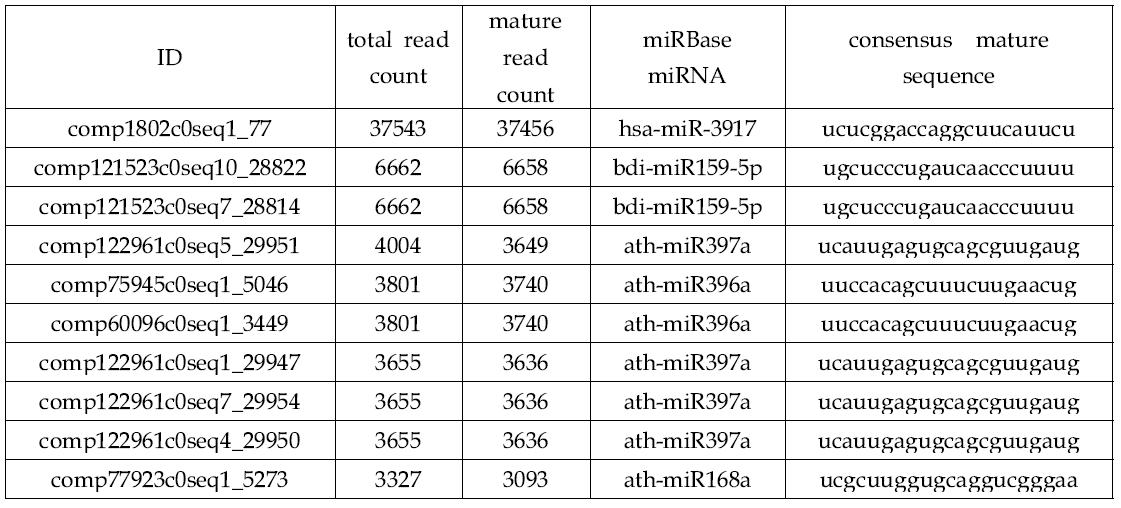 Small RNA sequencing을 통해 동정된 대표적인 10개 국화 miRNAs