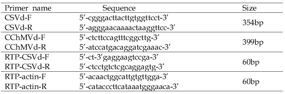 Primers used in this study