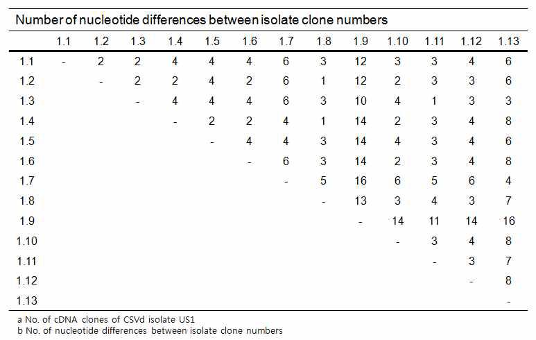 Variation in sequence between cDNA clones of CSVs isolate US1