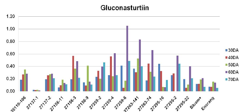 Gluconasturtin 의 함량 변이 조사