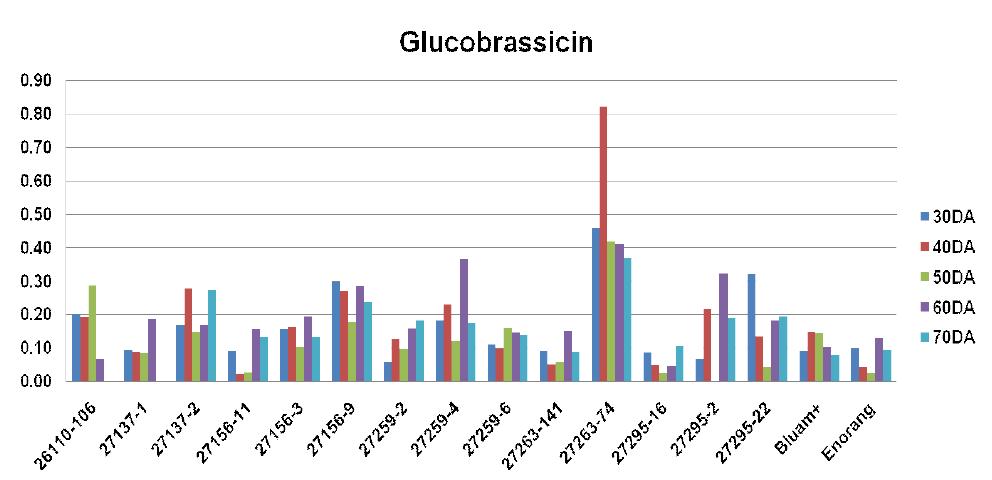 Glucobrassicin 의 함량 변이 조사