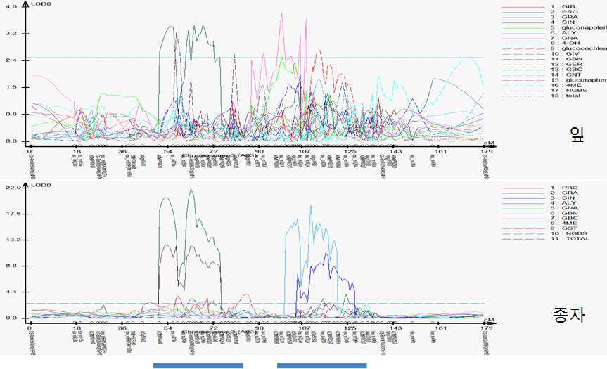 GSL candidate genes in QTL region of B. rapa genome(CRF3)