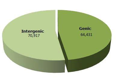 권심(271002KS) Genome 내 SNP 분포