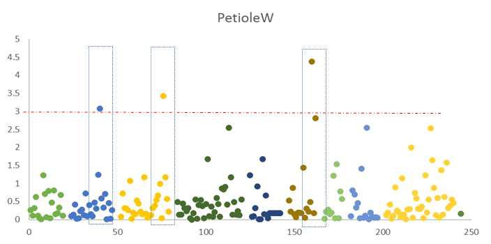Example GWAS of Petiole width with 250 makers