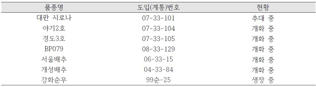 2차년도 소포자 배양용 재료