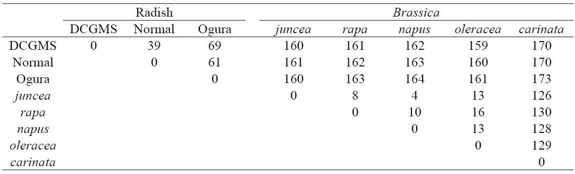 Nucleotide sequence identity of 40-kb conserved mtDNA blocks among Brassica species and three radish mitotypes.