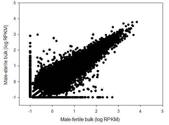 Correlation between the expression levels of unigenes isolated from male-fertile and male-sterile bulked RNA.