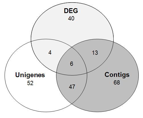 Diagram showing the proportion of common unigenes or contigs screened by raw read mapping to the reference unigenes or de novo assembled contigs, and comparison of expression levels of unigenes