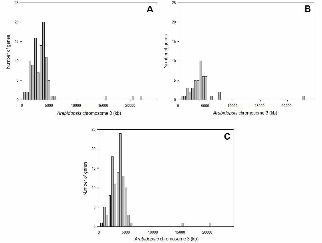 Distribution of Arabidopsis genes homologous to the radish unigenes or contigs containing the SNPs between male-fertile and male-sterile bulks