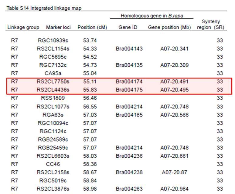 Brassica S locus와 synteny를 보이는 Linkage group에 포함된 Marker loci