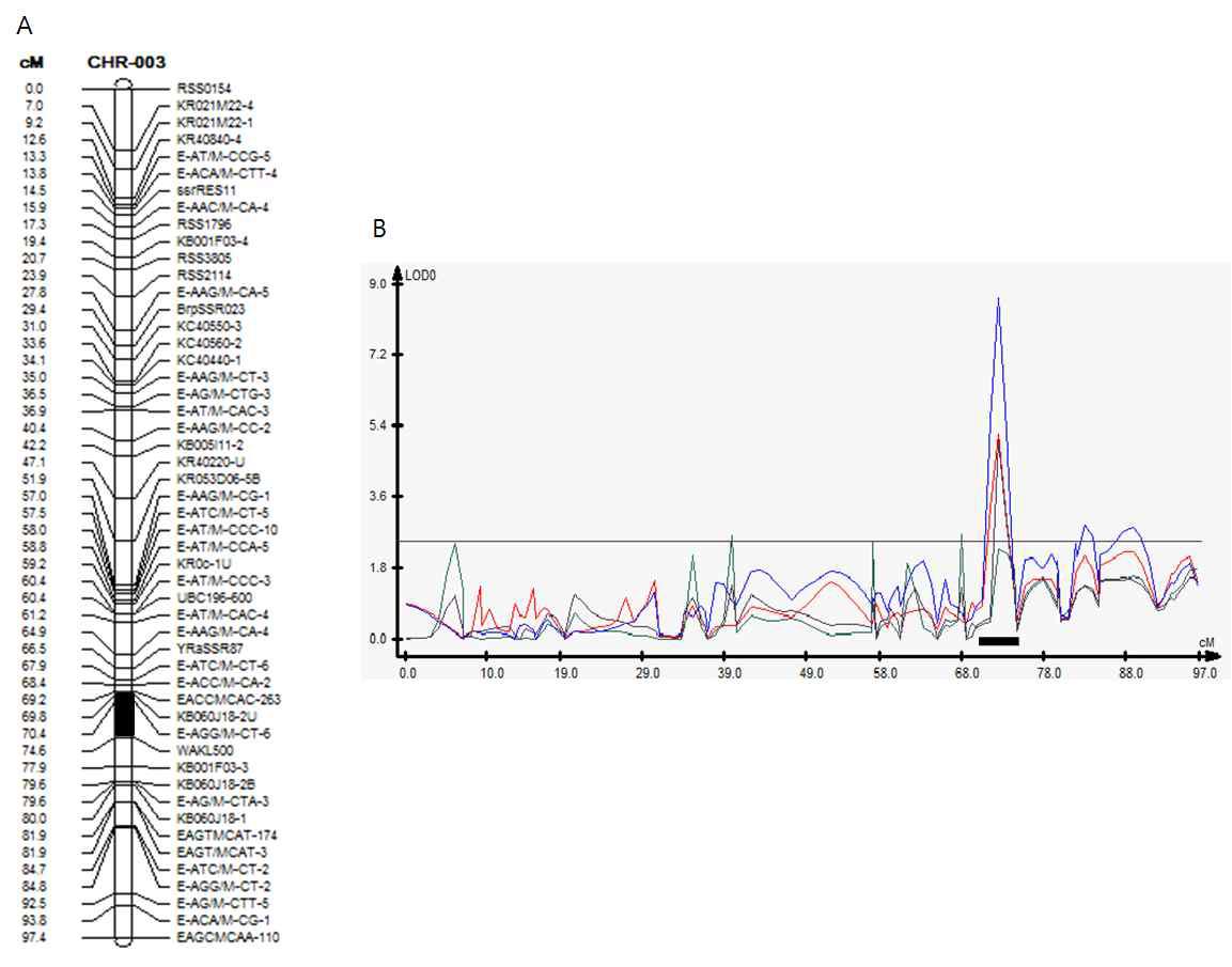 Linkage group No. 3 of radish (A) and plot of QTL analysis (B). Detected QTL (qYR1) was indicated by solid bar