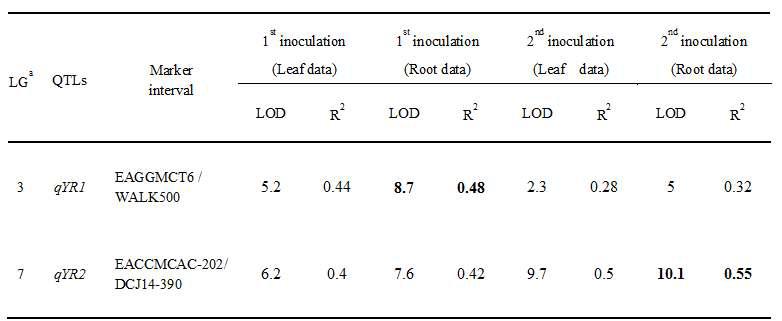 Position and effect of QTL for Fusarium resistance in R.sativus