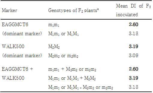 Disease index of two genotypes based on qYR1 markers in an F2 population