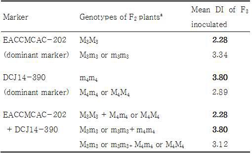 Disease index of two genotypes based on qYR2 markers in an F2 population