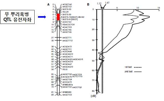 일본에서 발표한 무 뿌리혹병 QTL 탐색 결과