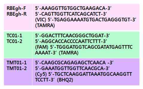 TC/TMT GM벼 확인을 위한 프라이머 및 프로브