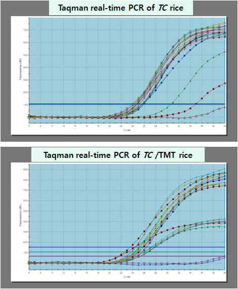 Amplification plot of dual and multiplex real-time PCR from the Stratagene MX3005P system