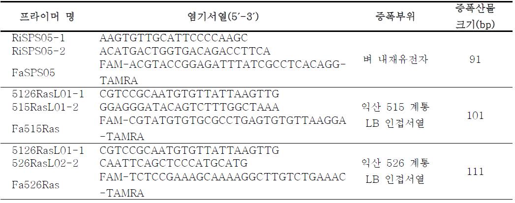 유전자변형 레스베라트롤 생합성 벼의 실시간 PCR 분석을 위한 특이 프라이머 쌍 및 TaqMan 프로브.