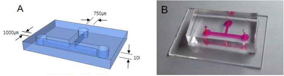 (A) PDMS 미세유체시스템 칩에 대한 모식도. (B) 실제 제작한 미세유체시스템 칩.