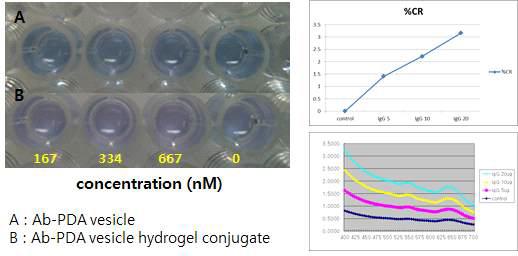 Ab-PDA vesicle과 Ab-PDA vesicle hydrogel conjugate의 IgG 농도에 따른 반응성 비교결과