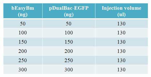 Quantities of bEasyBm DNA and donor vector used for the generation of recombinant virus in pupae of Bombyx mori