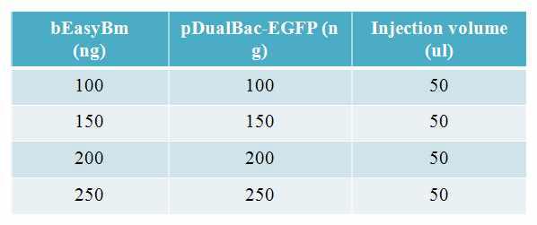 Quantities of bEasyBm DNA and donor vector used for the generation of recombinant virus in 3rd instar larvae of Bombyx mori