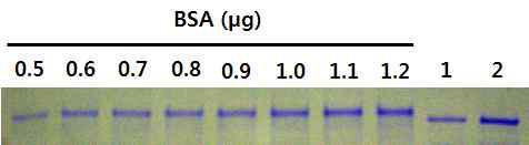 Quantification of the purified partial Polh.(a.a. 19-110)-EGFP-Cry1Ac fusion protein