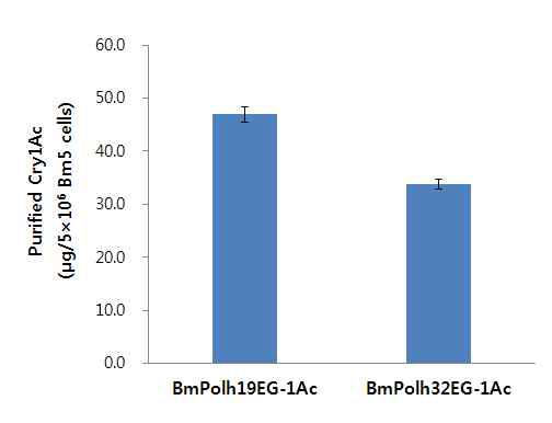 Cry1Ac protein purified from granules of partial polh.-EGFP-Cry1Ac fusion protein expressed in Bm5 cells infected with recombinant viruses, BmPolh19EG-1Ac and BmPolh32EG-1Ac.