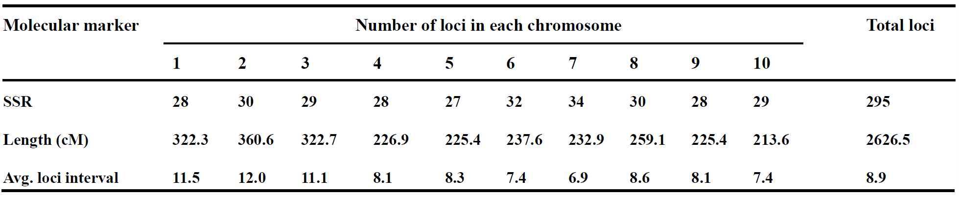 옥수수 F2 mapping 집단에서 염색체 길이(cM) 및 염색체 당 마커 수