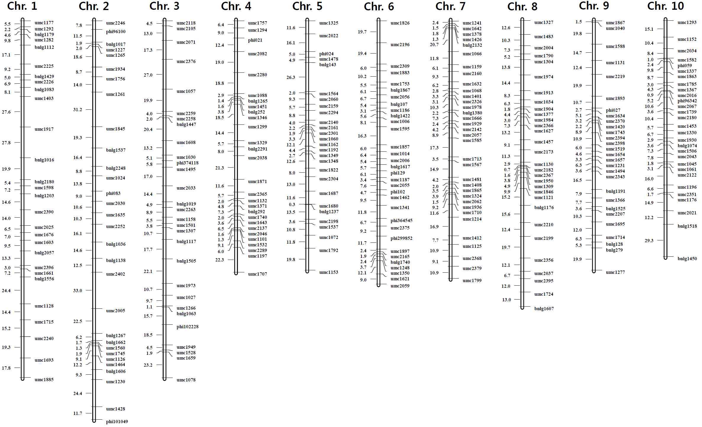 옥수수 F2 mapping 집단에 대하여 SSR 마커를 이용하여 구축된 유전자지도